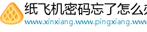 纸飞机密码忘了怎么办
